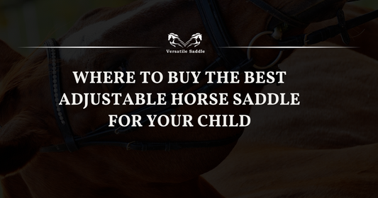 Horse Saddle