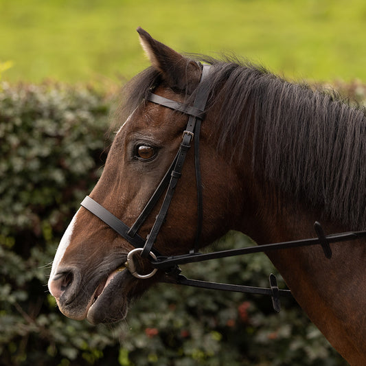 Hunter Bridle with Reins