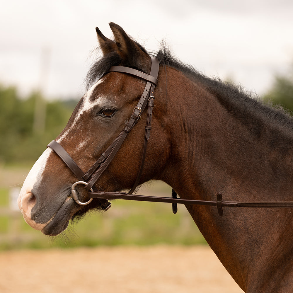 Hunter Bridle with Reins