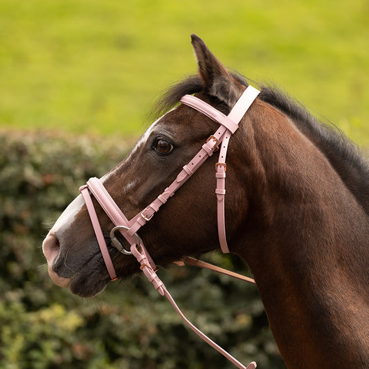 Valiance Plain Leather Padded Bridle with Rubber Grip Reins.