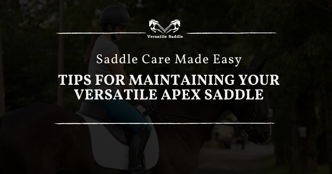 Saddle care and maintenance