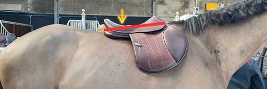 How Poor Saddle Fit Affects a Horse’s Way of Going (And How to Spot It Early)