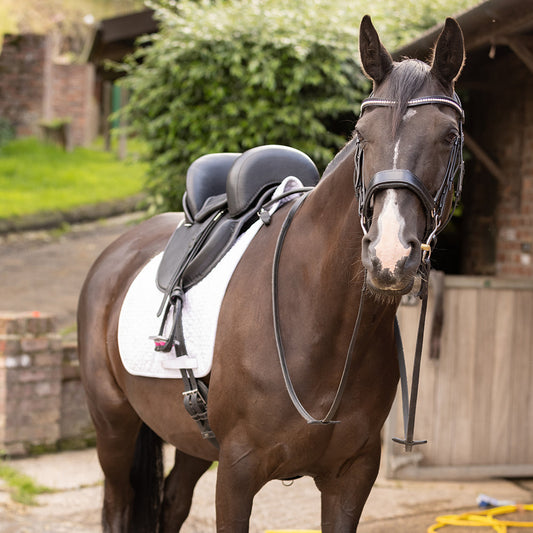 When a Treeless Saddle Is NOT the Right Choice for a Horse