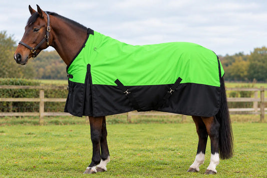 What is a turnout rug?