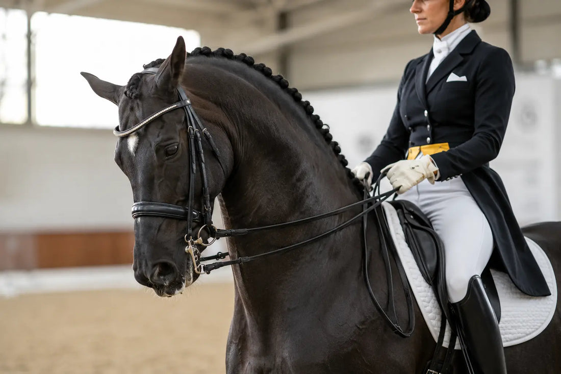 Understanding the Double Bridle: Benefits, Risks, and Proper Use