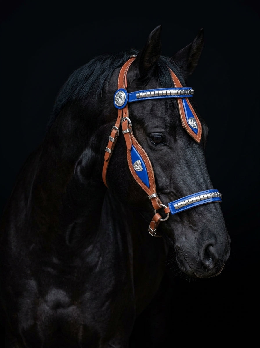 Tan Show Stallion Bridle Blue Inlay with Braided Lead