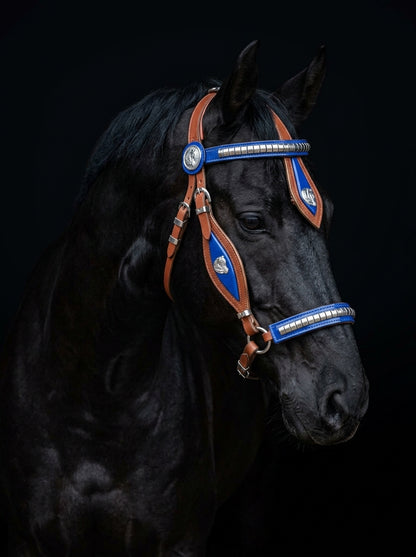 Tan Show Stallion Bridle Blue Inlay with Braided Lead