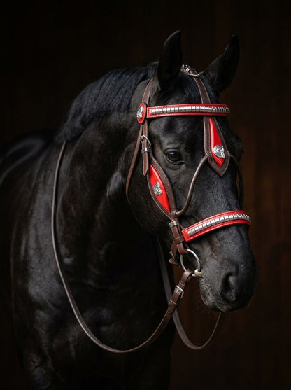 Black Heavy Show Bridle with Red Contrast Inlay & Braided Lead