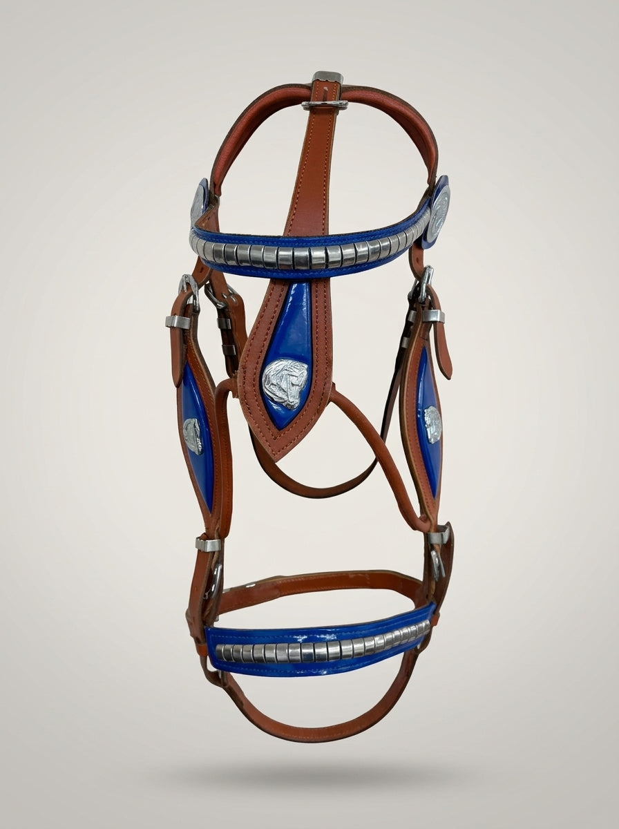 Tan Show Stallion Bridle Blue Inlay with Braided Lead
