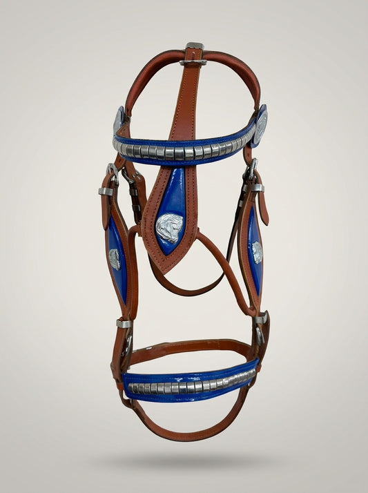Tan Show Stallion Bridle Blue Inlay with Braided Lead