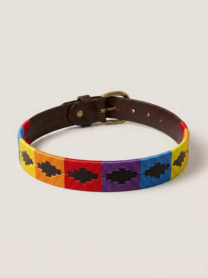 CriTERION Spectrum Classic Polo Belt