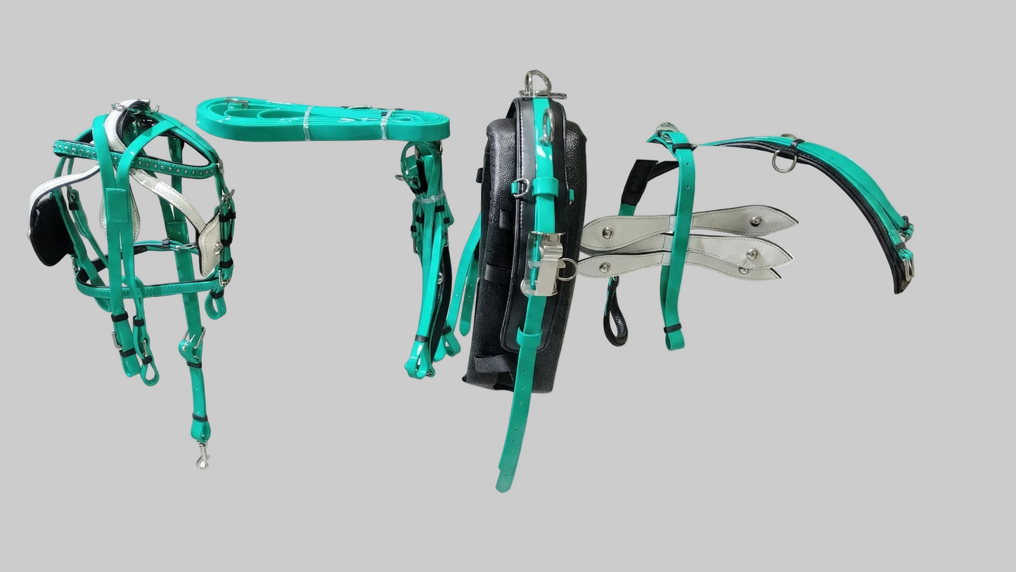 Teal and black horse bridle and reins on a white background