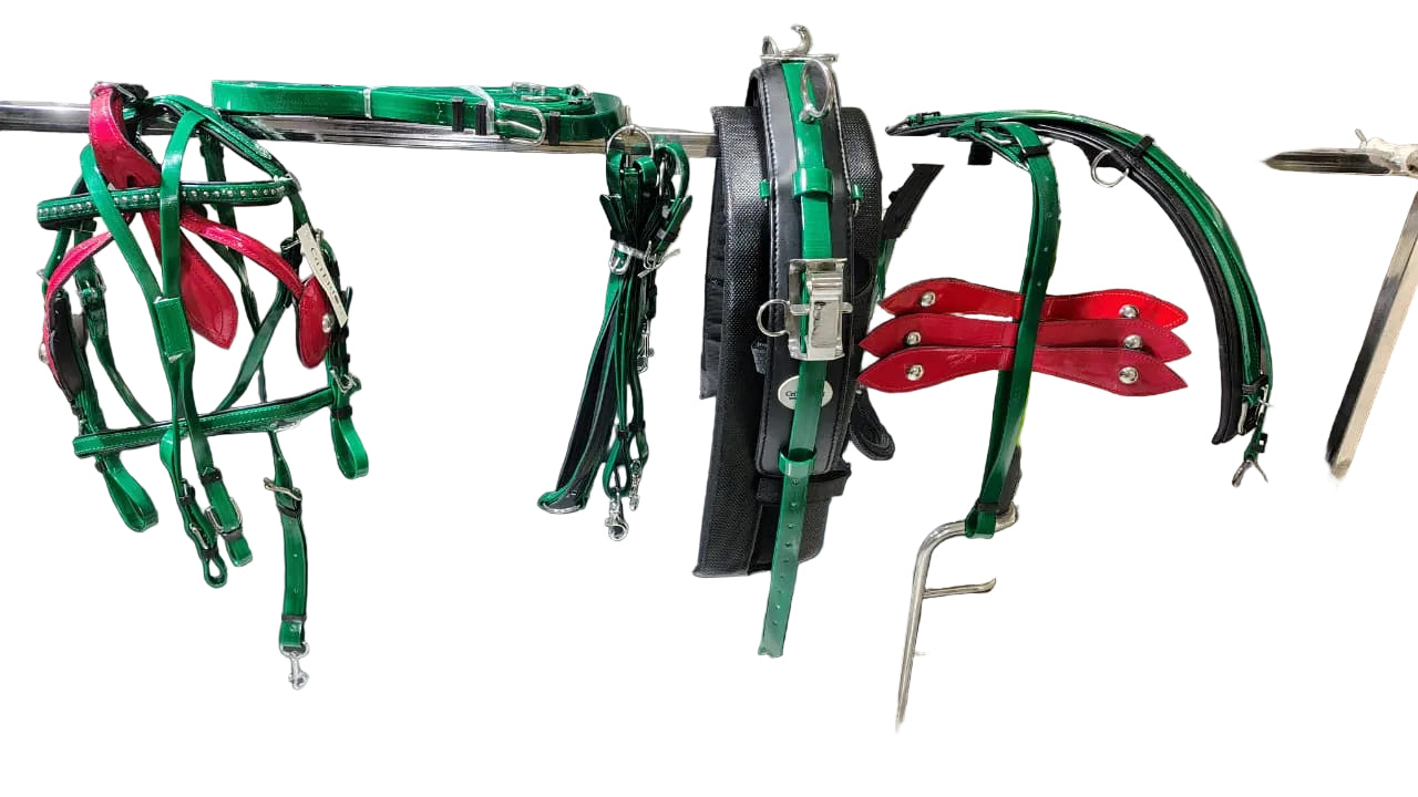 CriTERION Green & Red American Biothane Quick Hitch Harness with Waterproof Waffle Pad
