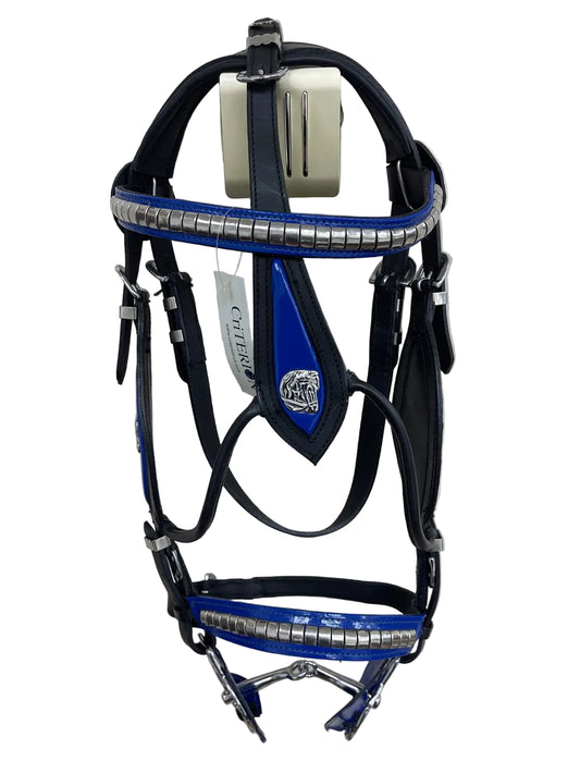 Black Heavy Show Bridle with Blue Inlay & Braided Lead