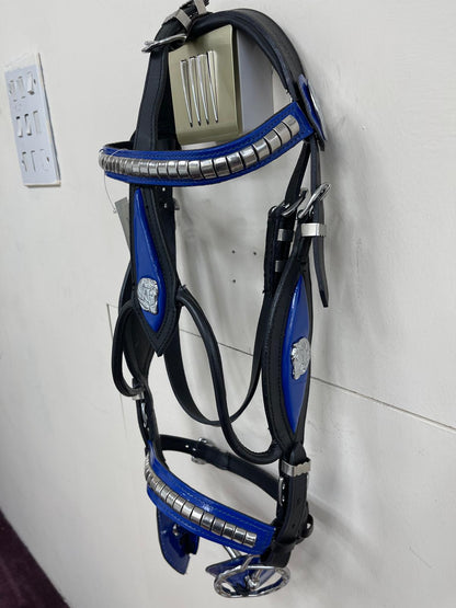 Black Heavy Show Bridle with Blue Inlay & Braided Lead