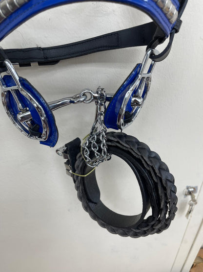 Black Heavy Show Bridle with Blue Inlay & Braided Lead