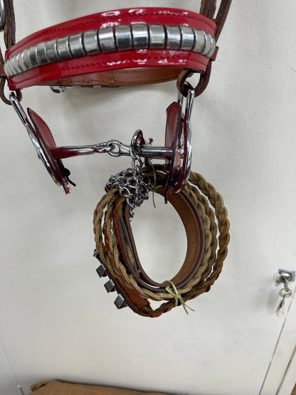 Tan Heavy Show Bridle with Red Inlay & Braided Lead