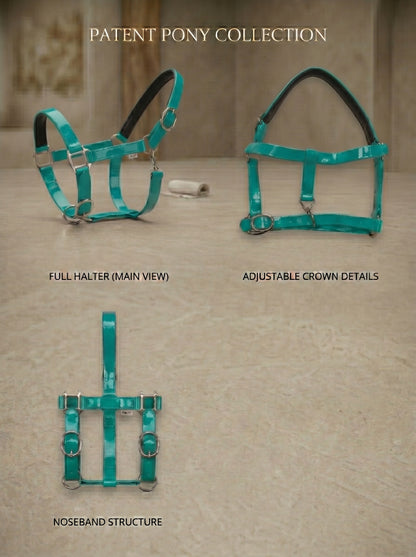 Teal Green Waterproof Biothane Head Collar