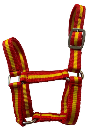 Criterion Economical Nylon Foal Headcollar – Bundle of 5