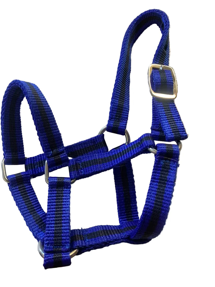 Criterion Economical Nylon Foal Headcollar – Bundle of 5