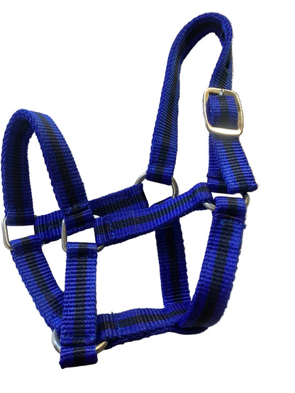Criterion Economical Nylon Foal Headcollar – Bundle of 5