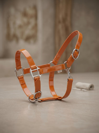 Orange Waterproof Biothane Head Collar