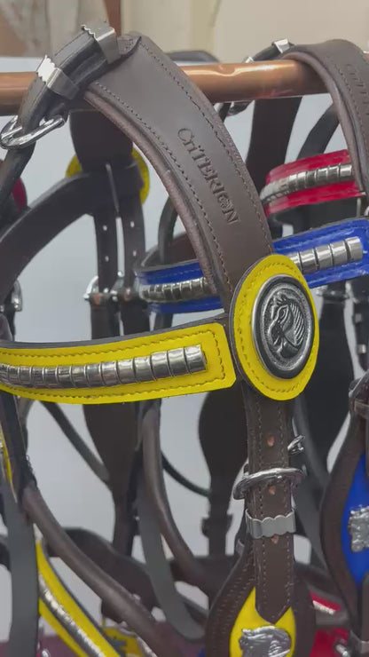 Brown Heavy Show Bridle Yellow Inlay & Braided Lead