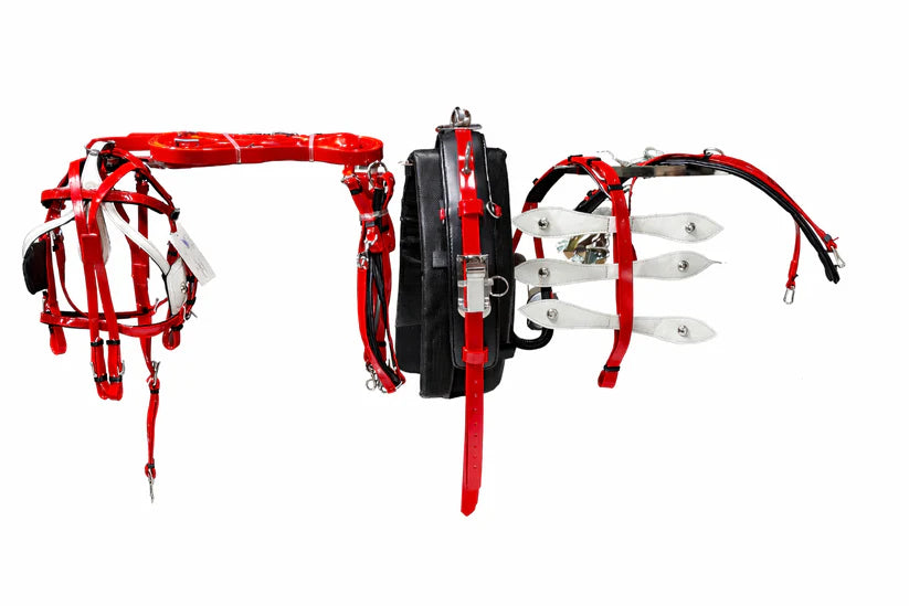 Red and black archery bow stand with multiple arrows on a white background