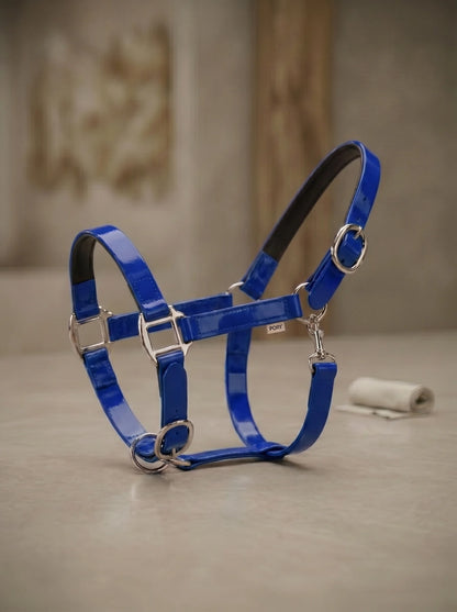 Royal Blue Waterproof Biothane Head Collar